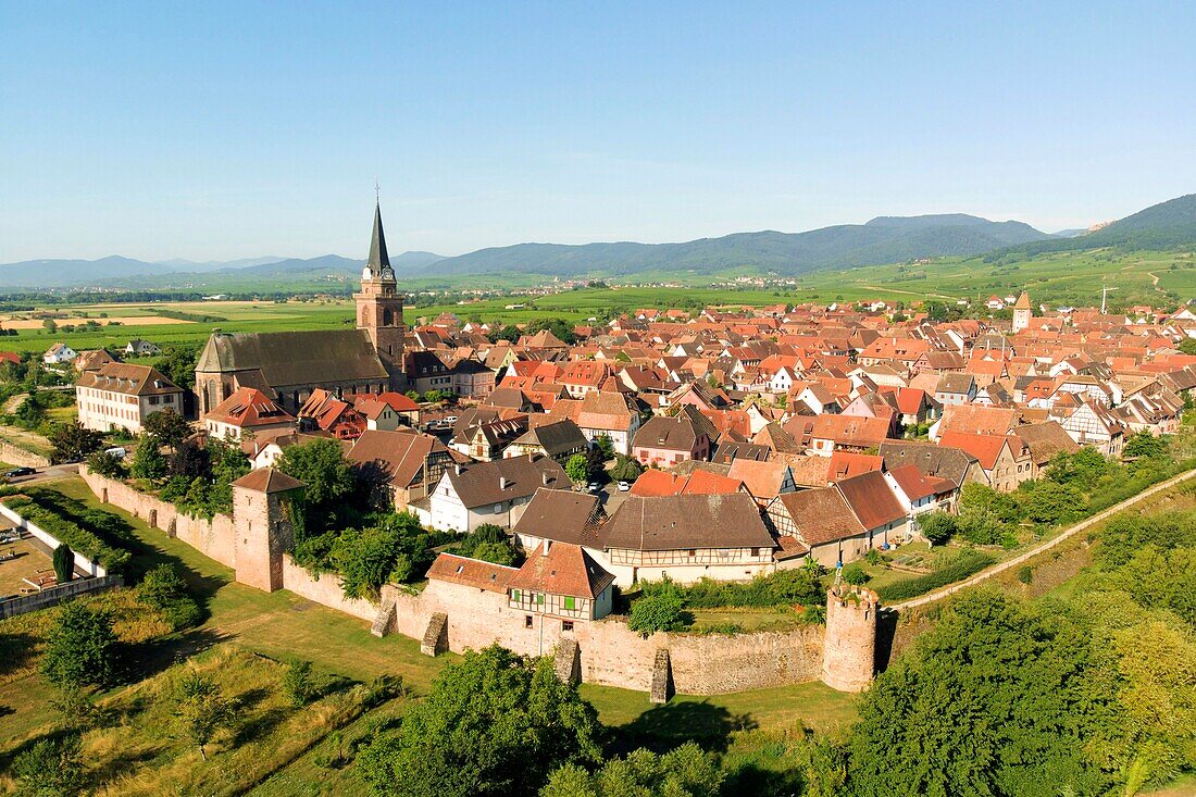 France, Haut Rhin, Alsace wine road, Bergheim, medieval walled ancient city\n