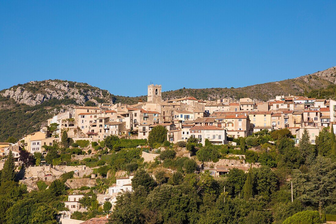 Frankreich, Alpes Maritimes, Regionales Naturreservat der Voralpen von Azur, Saint Jeannet