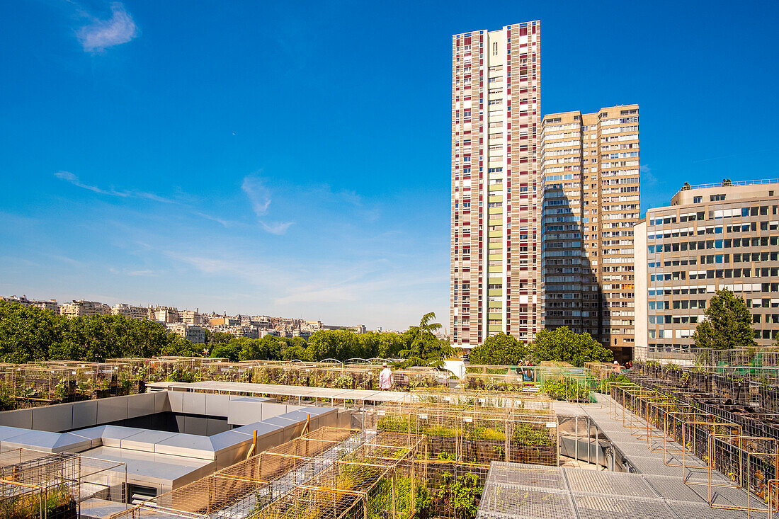 France, Paris, urban farmers Peas & Love, a new kitchen garden concept on the roof of the buildings, here on the Yooma Hotel of the Front de Seine\n