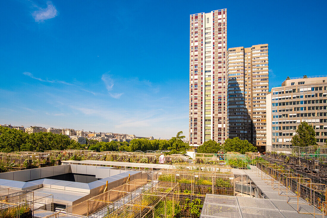 Frankreich, Paris, urbane Bauern Peas & Love, ein neues Nutzgartenkonzept auf dem Dach der Gebäude, hier auf dem Yooma Hotel an der Front de Seine