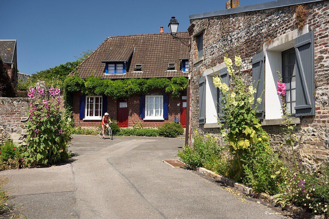 France, Somme, Saint Valery sur Somme, alleys flowered by the herbarium of the ramparts, young woman on a bike\n