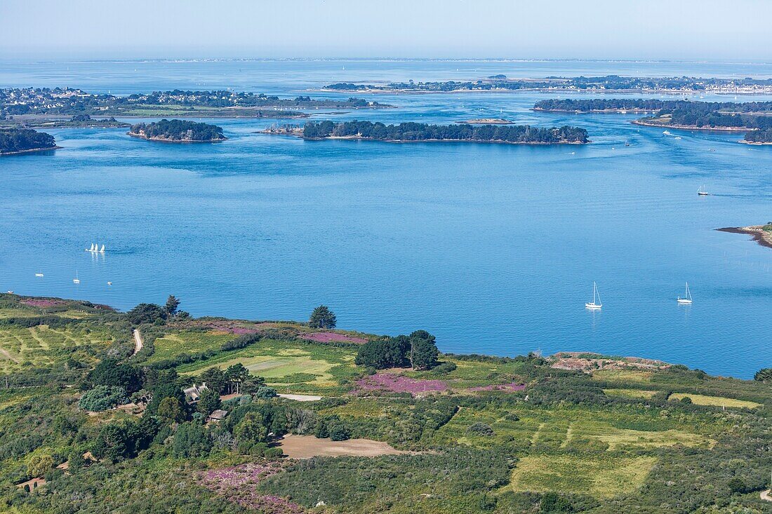 Frankreich, Morbihan, Golf von Morbihan, Heidekraut auf l'Ile aux Moines (Luftaufnahme)