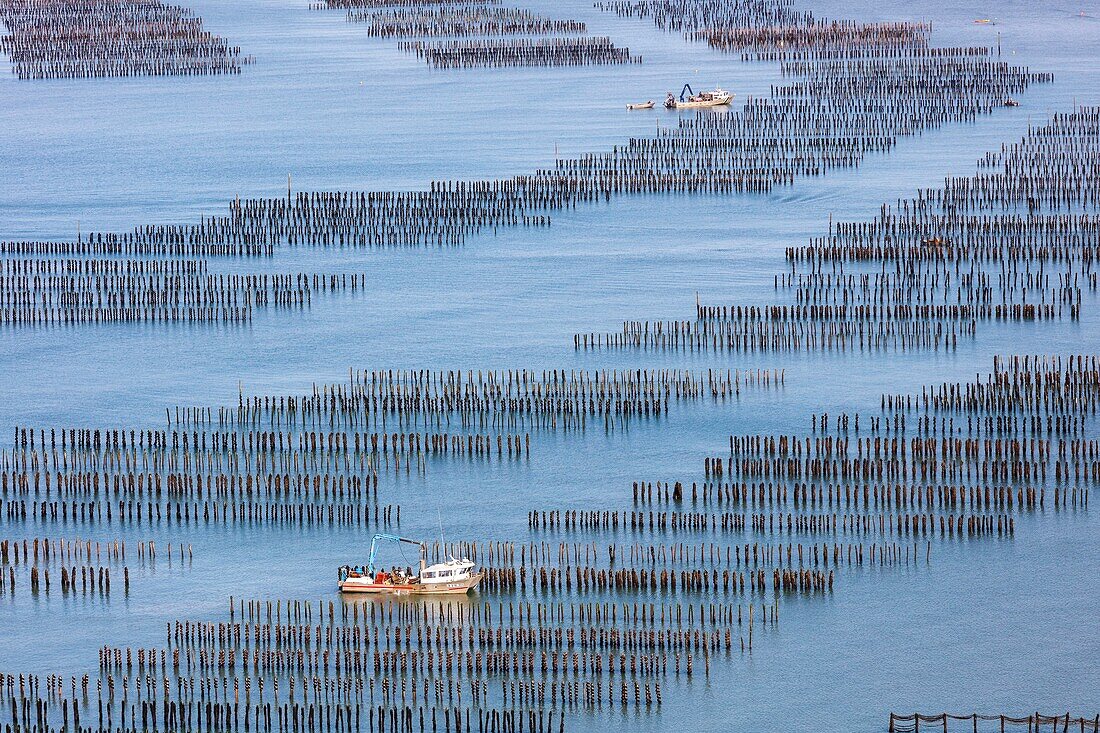 France, Vendee, La Faute sur Mer, mussel boats in mussel farm (aerial view)\n