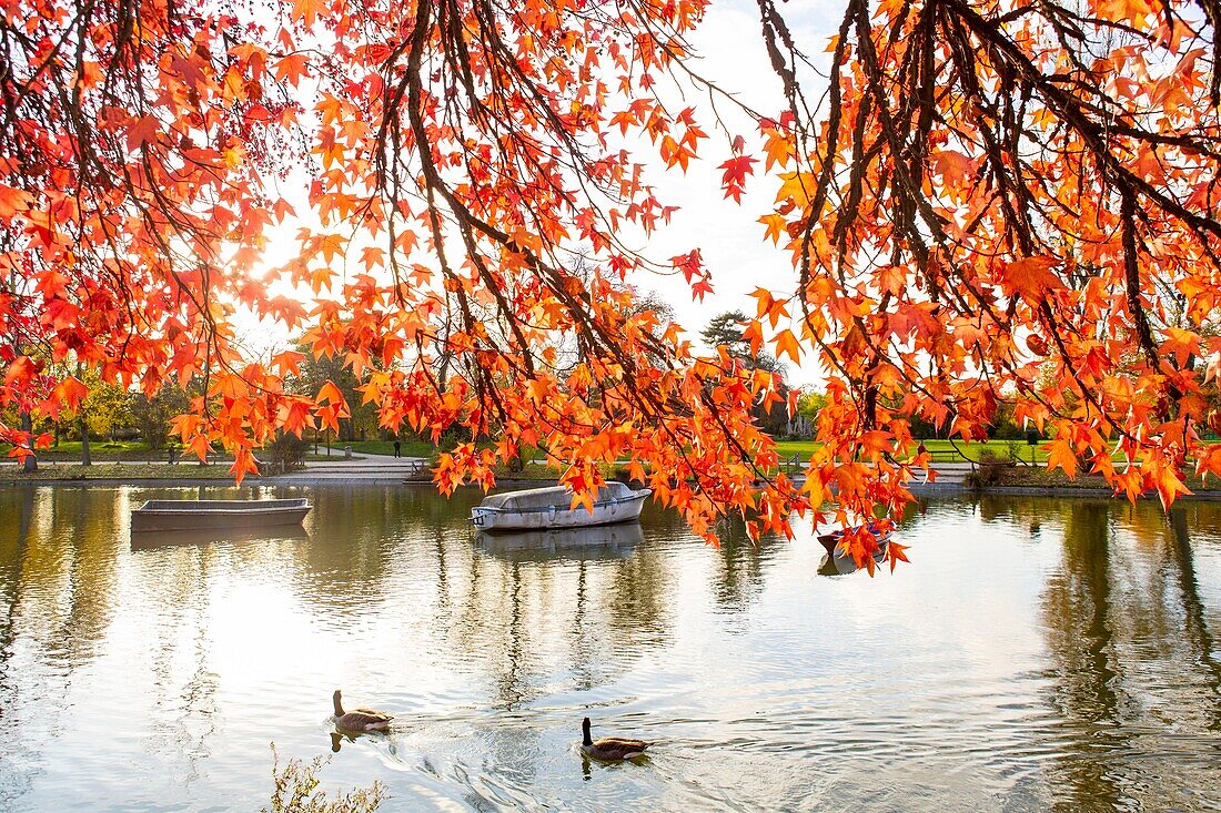 France, Paris, the Bois de Vincennes, the lake Daumesnil in autumn\n