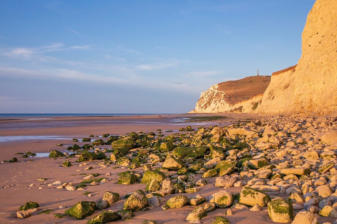 France, Pas de Calais, Cote d'Opale, Parc naturel regional des Caps et Marais d'Opale, Cap Blanc Nez, limestone cliffs\n