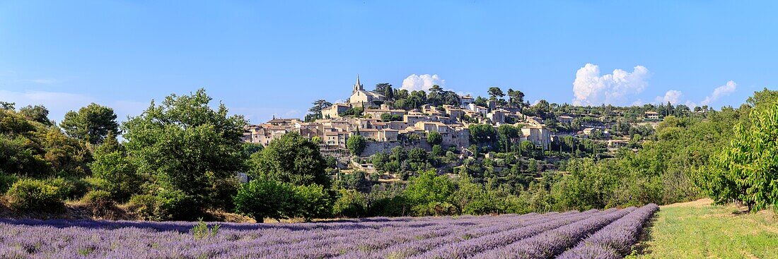 France, Vaucluse, regional natural reserve of Luberon, Bonnieux,\n