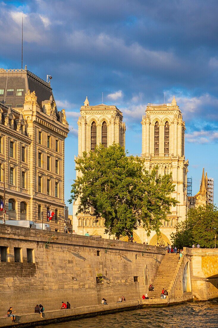 Frankreich, Paris, von der UNESCO zum Weltkulturerbe erklärtes Gebiet, Ile de la Cite, Kathedrale Notre Dame