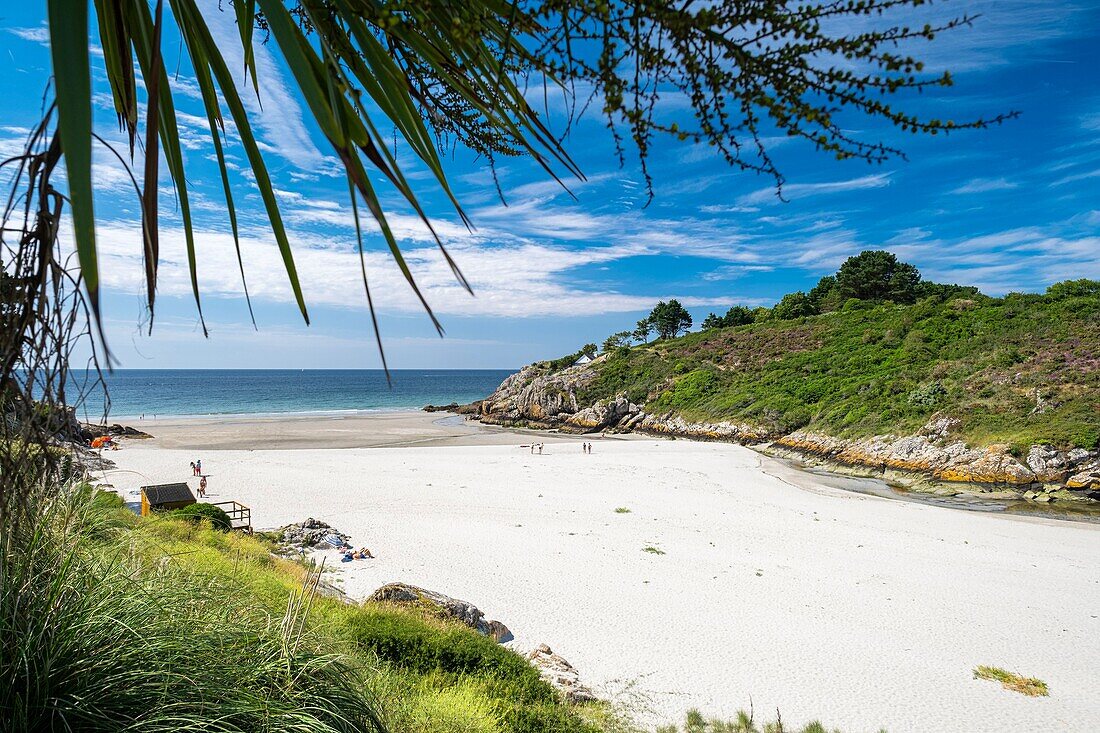 France, Finistere, Aven Country, Nevez, Rospico beach\n