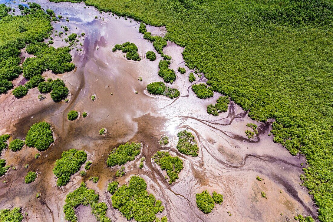 France, Caribbean, Lesser Antilles, Guadeloupe, Grand Cul-de-Sac Marin, heart of the Guadeloupe National Park, Grande-Terre, Vieux-Bourg, aerial view of the largest mangrove belt in the Lesser Antilles, Biosphere Reserve of Guadeloupe\n