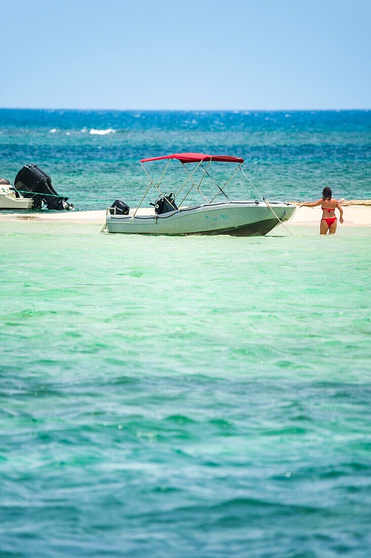 France, Caribbean, Lesser Antilles, Guadeloupe, Grand Cul-de-Sac Marin, heart of the Guadeloupe National Park, cabotage on Caret Islet\n