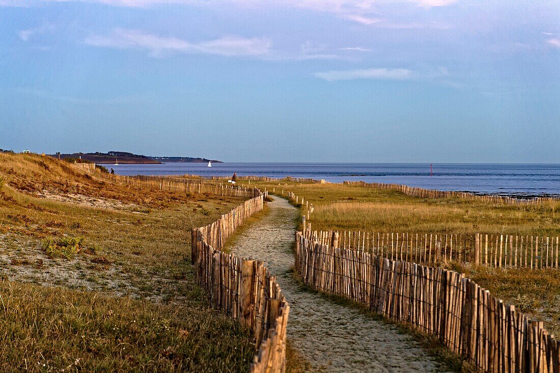 Frankreich, Morbihan, Golf von Morbihan, Regionaler Naturpark des Golfs von Morbihan, Locmariaquer, Pointe Kerpenhir, der Strand