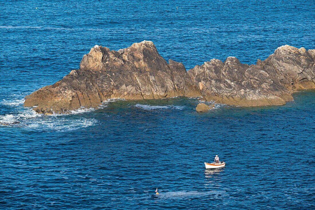 France, Finistere, Plogoff, along the GR 34 hiking trail or customs trail towards Pointe du Raz, Bestrée harbour\n