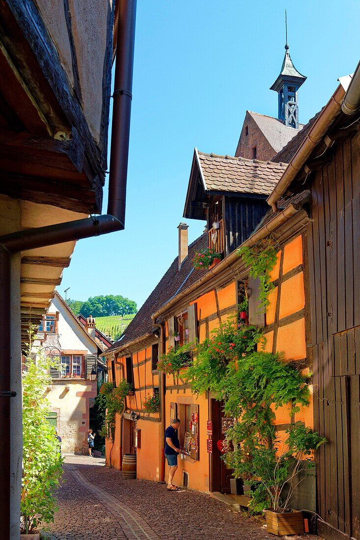 Frankreich, Haut Rhin, Elsässer Weinstraße, Riquewihr, mit dem Label Les Plus Beaux Villages de France (Die schönsten Dörfer Frankreichs), traditionelle Fachwerkhäuser