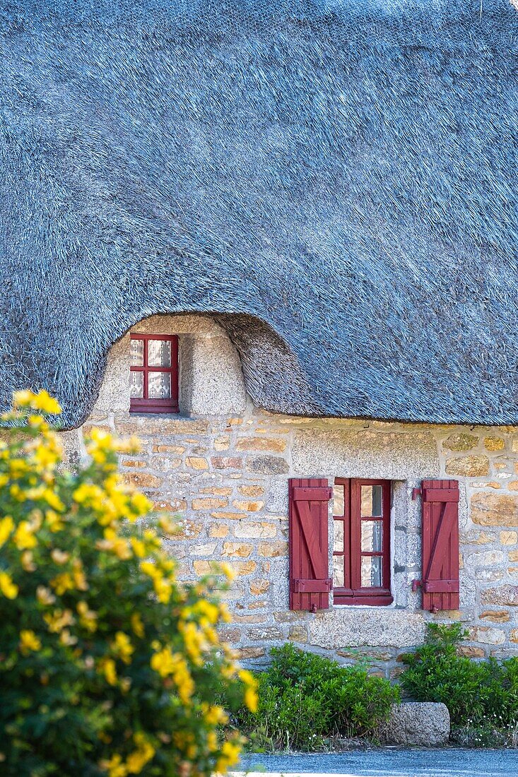 France, Finistere, Aven Country, Nevez, Kerascoet thatched houses village (16th century)\n
