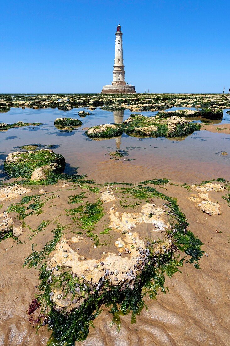 France, Gironde, Verdon-sur-Mer, rocky plateau of Cordouan, lighthouse of Cordouan, classified Historical Monuments, general view\n