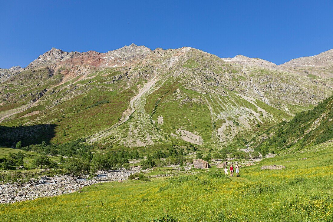 Frankreich, Hautes Alpes, Nationalpark Ecrins, Champsaur-Tal, Drac-Tal von Champoléon oder Drac Blanc, Alm der Pré de la Chaumette-Hütte, Wanderung auf dem GR-Wanderweg Tour du Vieux Chaillol