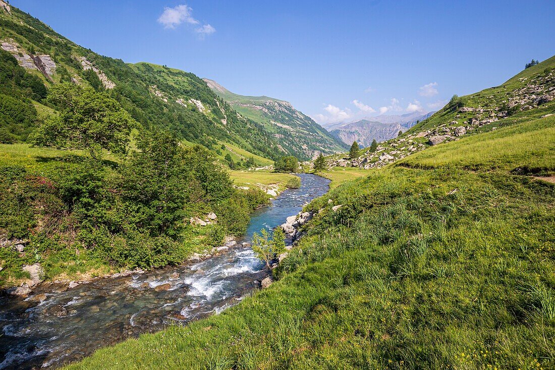 France, Hautes Alpes, Ecrins National Park, Champsaur, Drac Noir valley, Prapic, Drac Noir river\n