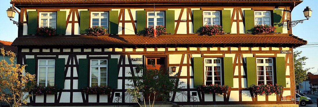 France, Bas Rhin, Gambsheim, city hall, half-timbered Alsatian house\n