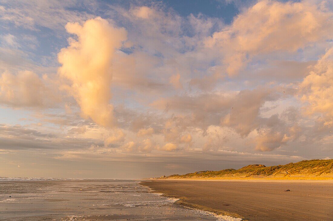 France, Somme, Quend-Plage, The beach of Quend-Plage at the end of the day while the sky is colored by the sunset\n