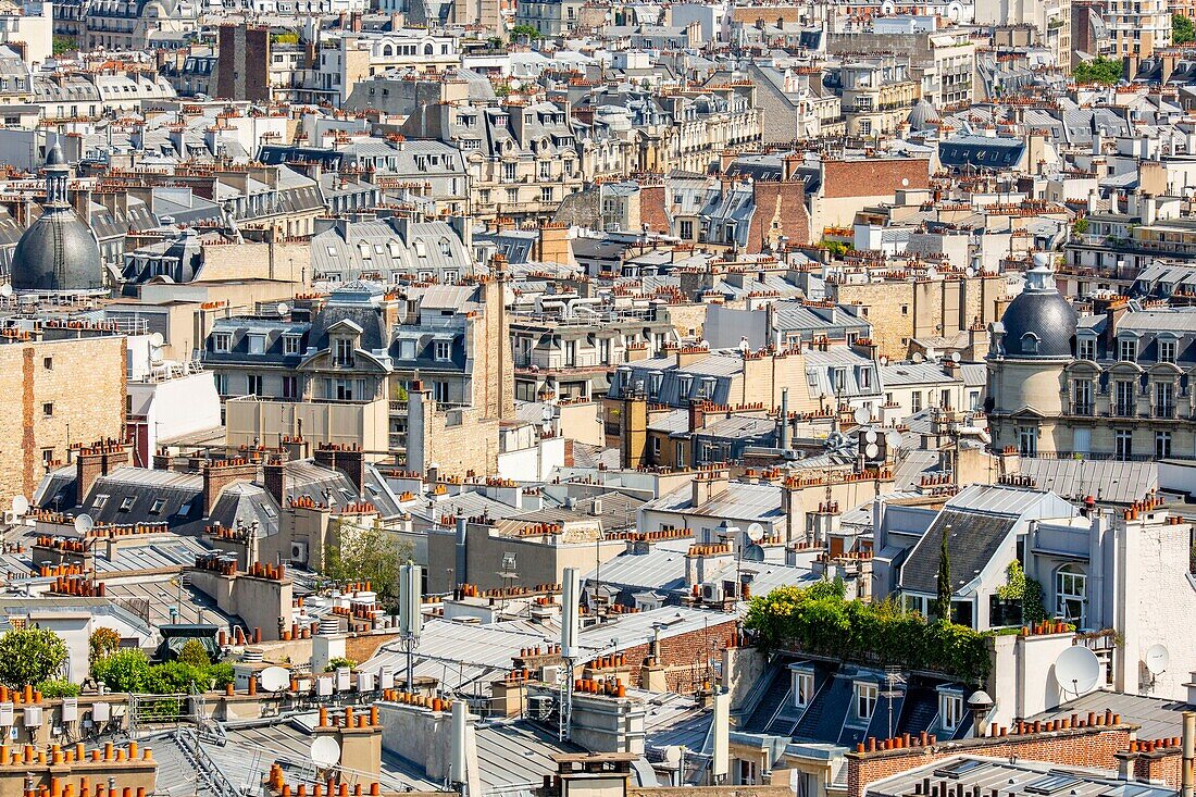 France, Paris, 8th arrondissement, view of the rooftops of Paris\n