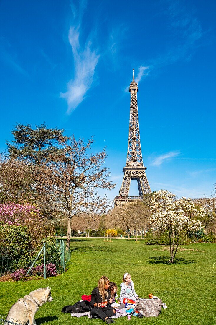 Frankreich, Paris, von der UNESCO zum Weltkulturerbe erklärtes Gebiet, der Champ de Mars und der Eiffelturm im Frühling