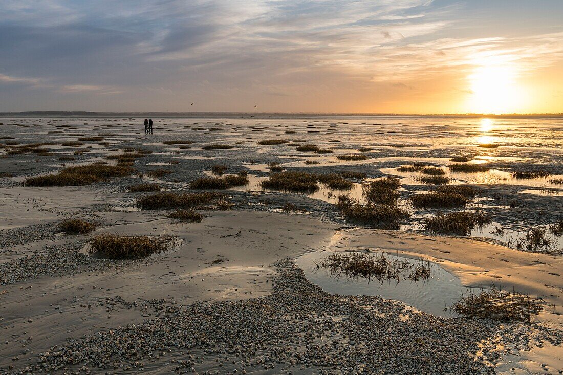 Frankreich, Somme, Somme-Bucht, Le Crotoy, Spaziergänger am Strand von Crotoy in der Somme-Bucht bei Ebbe im Winter