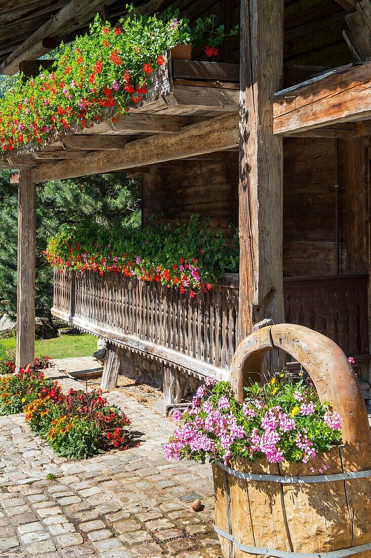 France, Haute Savoie, Chablais, Val d'Abondance, Portes du Soleil, Chapel of Abondance, flower arrangement around Papy Gaby's cottage\n