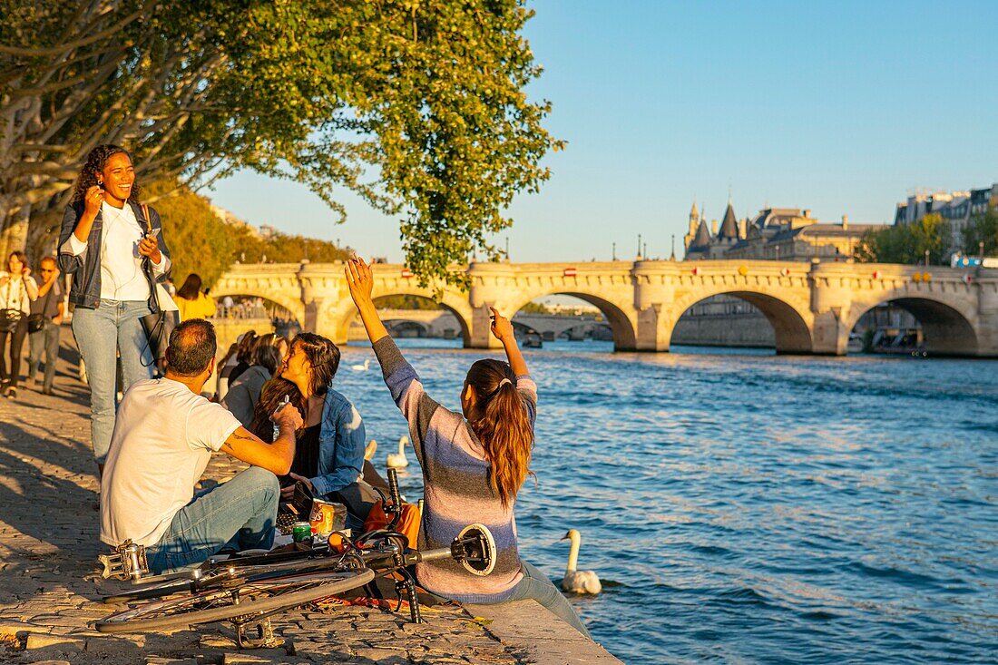 Frankreich, Paris, von der UNESCO zum Weltkulturerbe erklärt, die Kais und die Pont Neuf