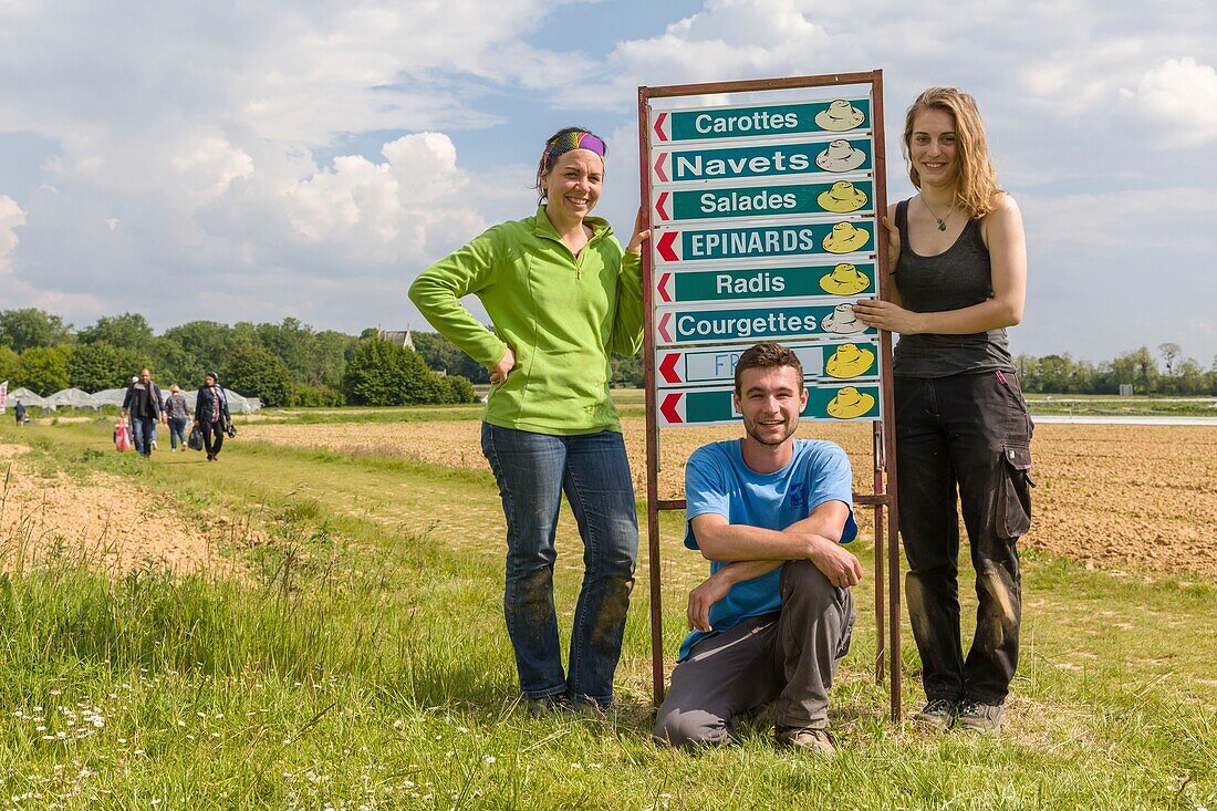 Frankreich, Indre et Loire, Loire-Tal, das von der UNESCO zum Weltkulturerbe erklärt wurde, Parcay Meslay, jardins de Meslay, Bericht über einen Pflückgarten nördlich der Metropole Tours, Team von Mitarbeitern und Kunden, die ernten