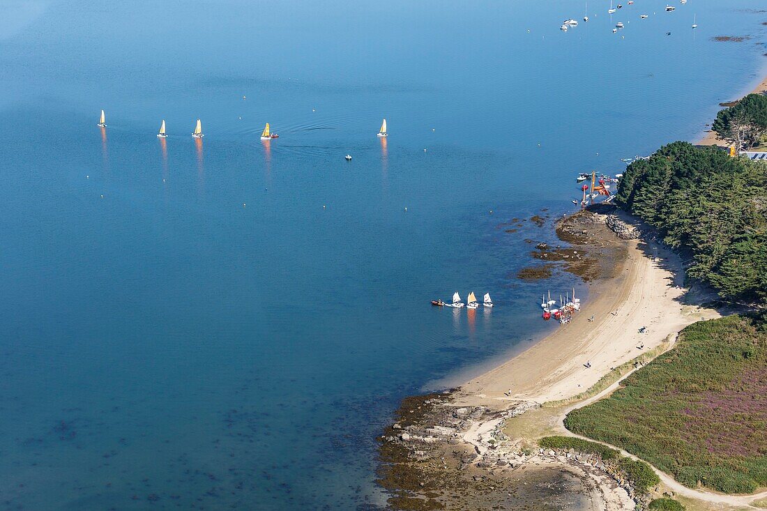France, Morbihan, Gulf of Morbihan, Sene, sailing school at the Pointe du Bil (aerial view)\n