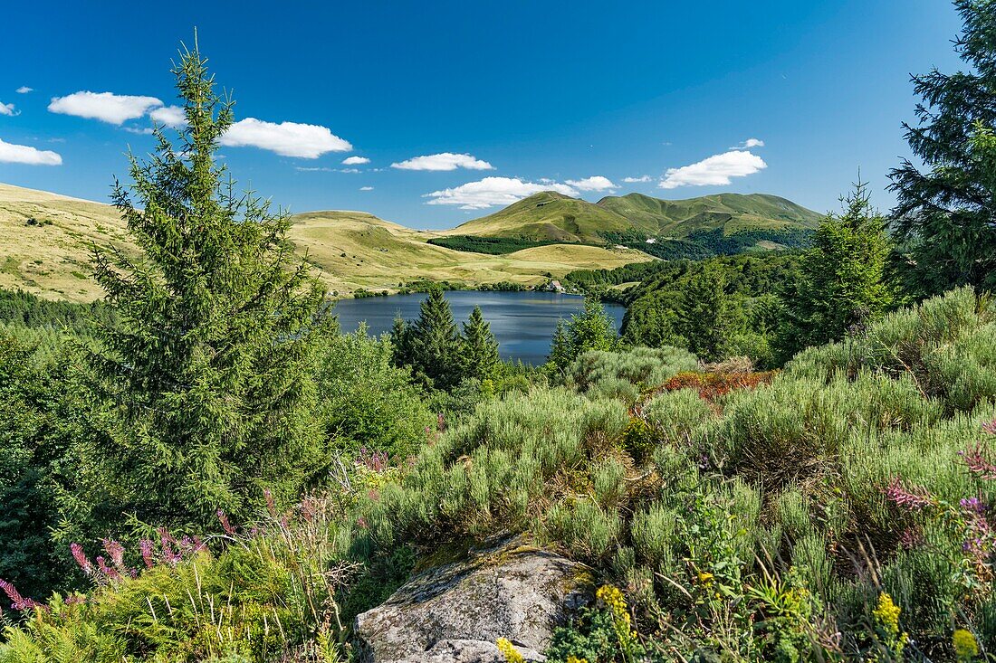 Frankreich, Auvergne, Puy de Dome), Regionaler Naturpark der Vulkane der Auvergne, Mont Dore, Col de Guery, Guery-See vom Weg aus