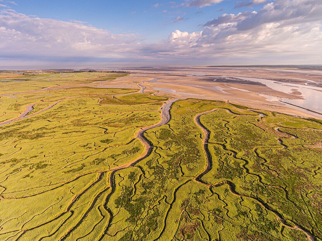 France, Somme, Bay of Somme, Saint-Valery-sur-Somme, The salted meadows of the Bay of the Somme in the early morning at Cape Hornu (aerial view)\n