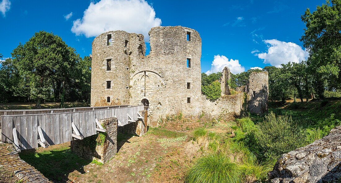 France, Loire-Atlantique, Regional Nature Park of Briere, Herbignac, Ranrouet medieval castle\n