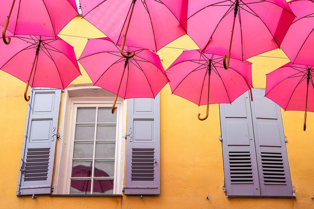 France, Alpes-Maritimes, Grasse, historic center, pink umbrellas in Jean Ossola street\n