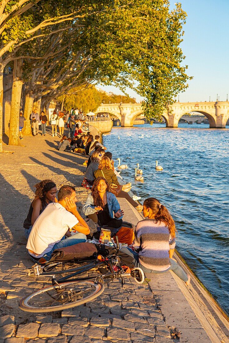 France, Paris, area listed as World Heritage by UNESCO, the quays and the Pont Neuf\n
