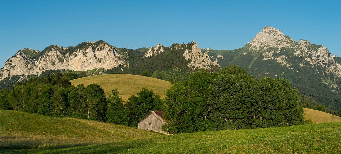 France, Haute Savoie, massif of Chablais, Bernex, panorama on the cliffs of the peak of Memizes, Mount Cesar and the tooth of Oche from Mount Benand and alp barn\n