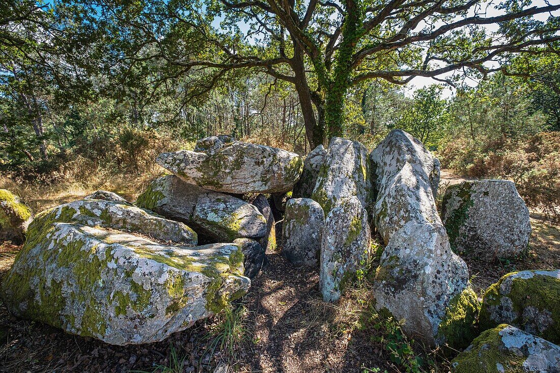 Frankreich, Loire-Atlantique, Regionaler Naturpark Briere, Herbignac, der Dolmen von Riholo stammt aus dem vierten Jahrhundert vor Christus (Jungsteinzeit)