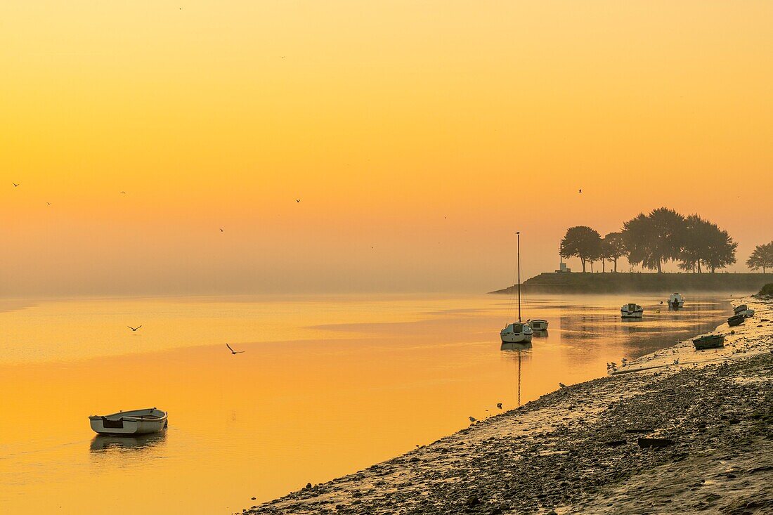 Frankreich, Somme, Somme-Bucht, Saint Valery sur Somme, Morgendämmerung am Ufer der Somme, wo die Boote von Fischern und Jägern gestrandet sind