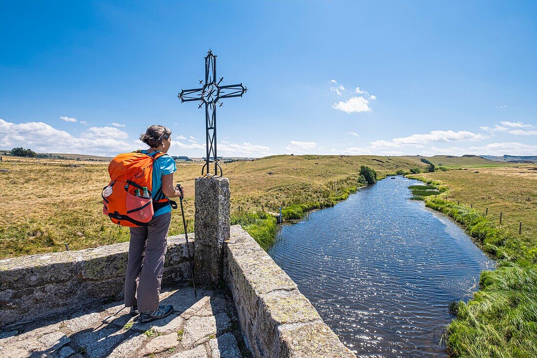 Frankreich, Lozere, Regionales Naturschutzgebiet Aubrac, Umgebung von Marchastel, Wanderung entlang der Via Podiensis, einer der französischen Pilgerwege nach Santiago de Compostela oder GR 65, Brücke über den Le