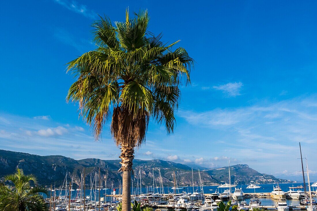 Frankreich, Alpes Maritimes, Saint Jean Cap Ferrat Hafen