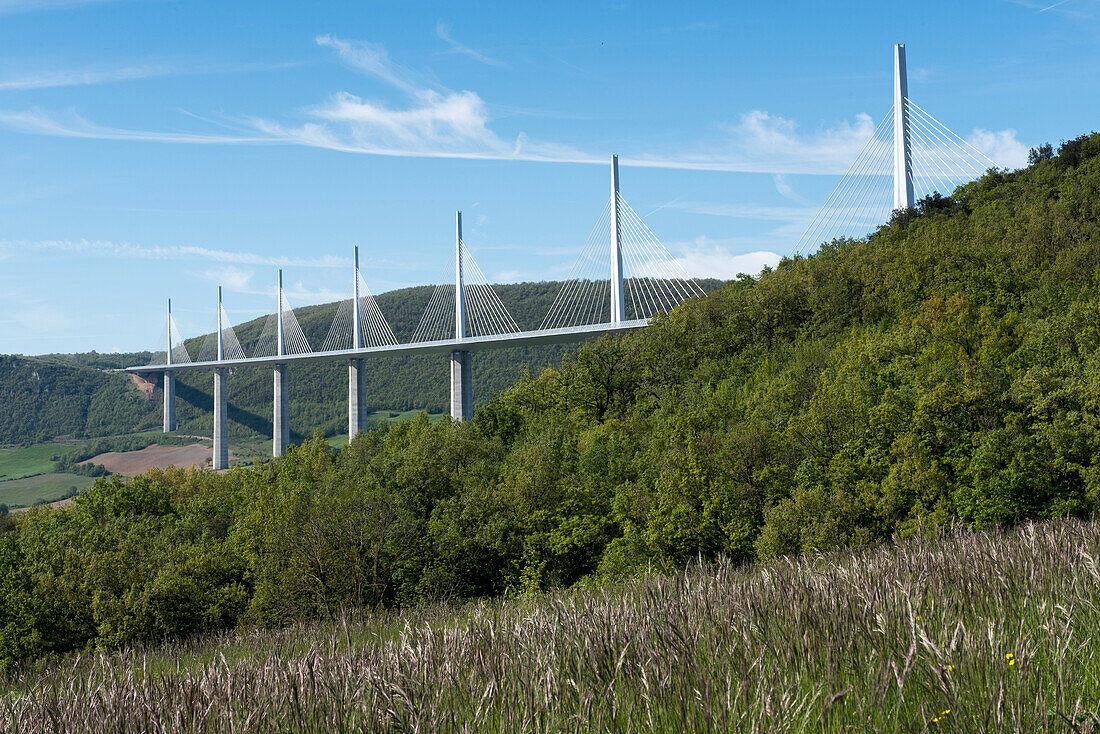 France, Aveyron, Millau, Millau Viaduct, Natural Regional Park of Grands Causses, cable stayed bridge over the Tarn Valley and River Tarn, by structural engineer Michel Virlogeux and British architect Lord Norman Foster, the tallest bridge in the world at 336.4 metres\n
