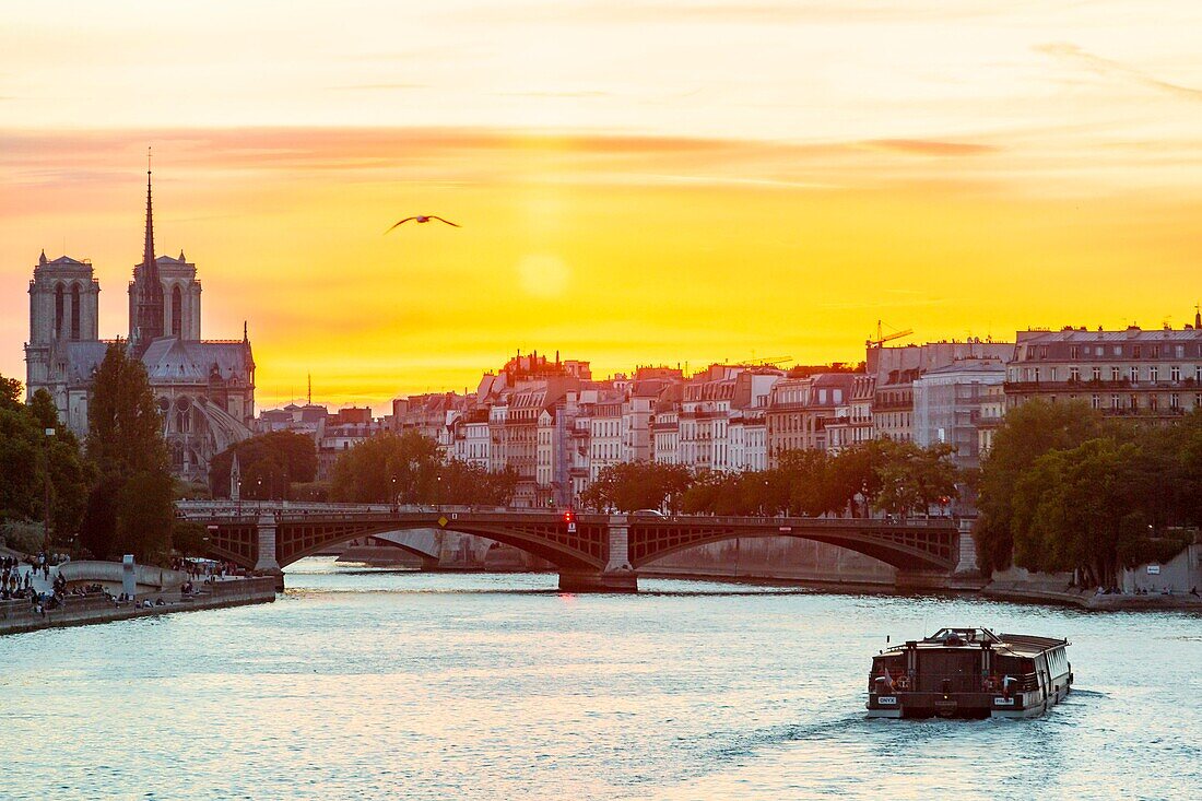 Frankreich, Paris, von der UNESCO zum Weltkulturerbe erklärtes Gebiet, Ile de la Cite, Kathedrale Notre Dame und ein Flugboot