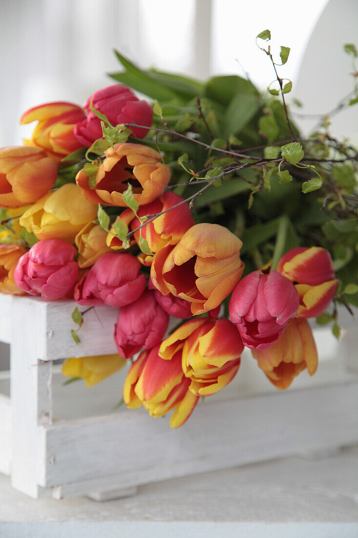 Bunter Tulpenstrauß auf Tisch liegend