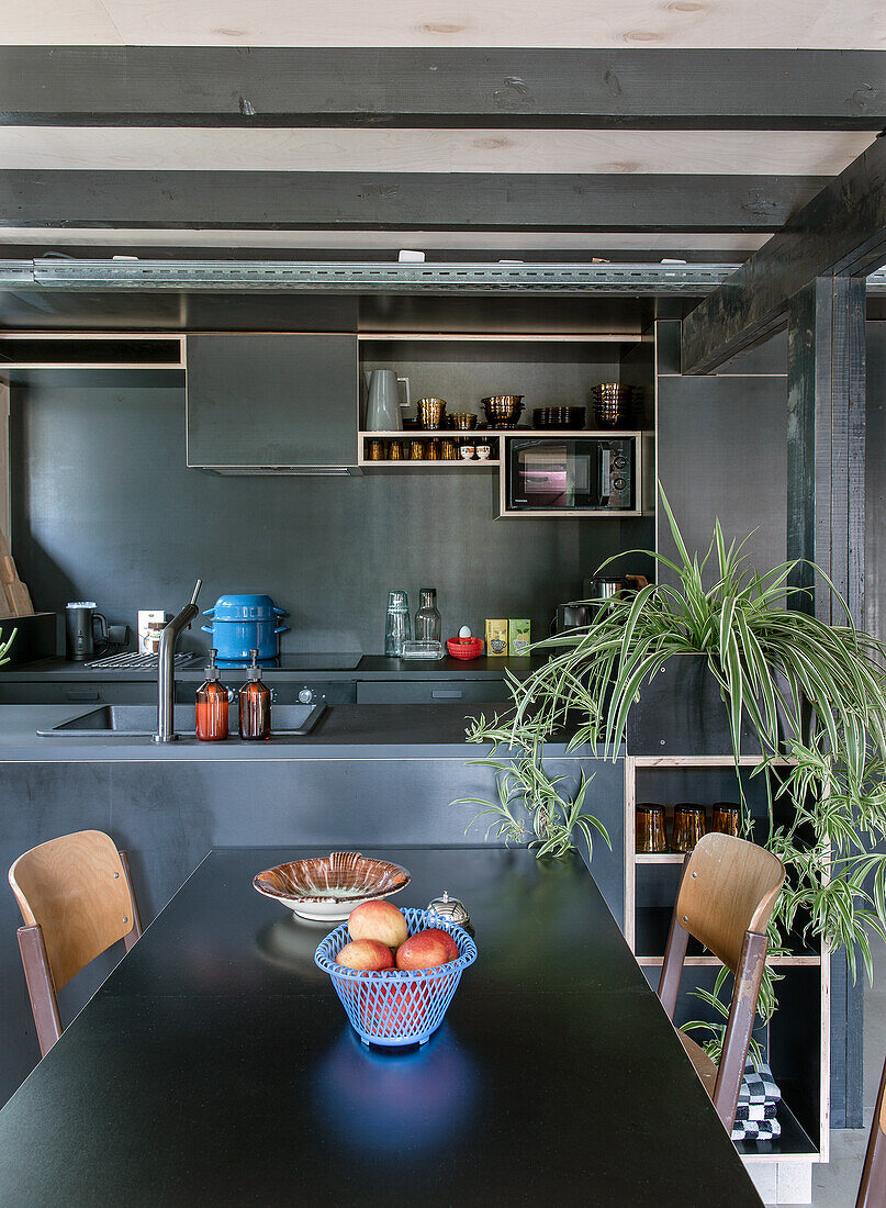 Modern kitchen with black cabinets, cooking island and plant