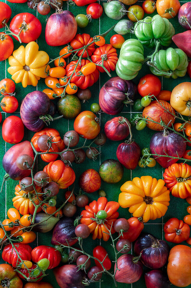 Verschiedene frische Tomaten