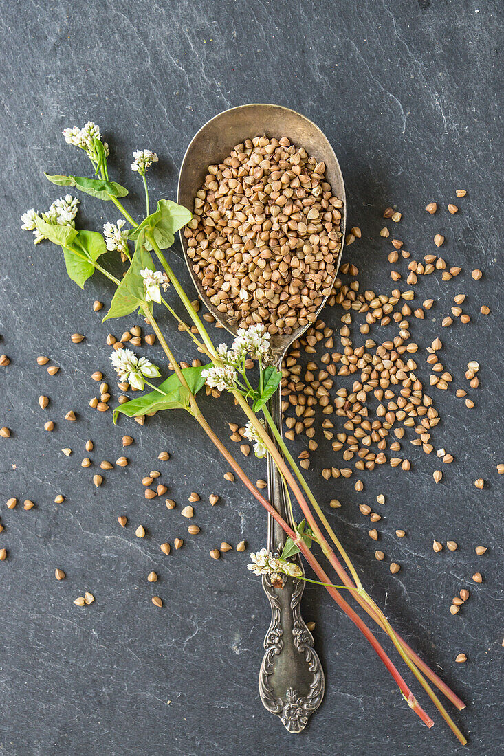 Buchweizen und Buchweizenblütem mit Silberlöffel