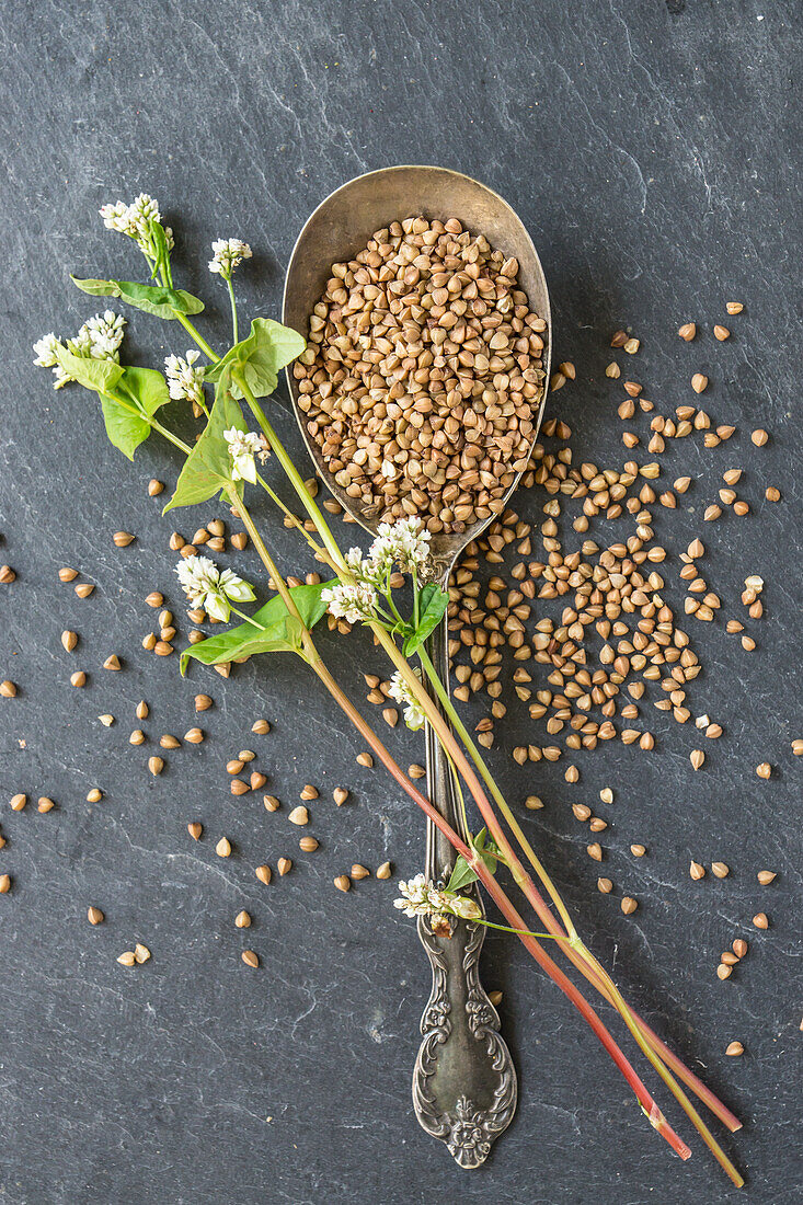 Buckwheat and buckwheat flowers with silver spoon