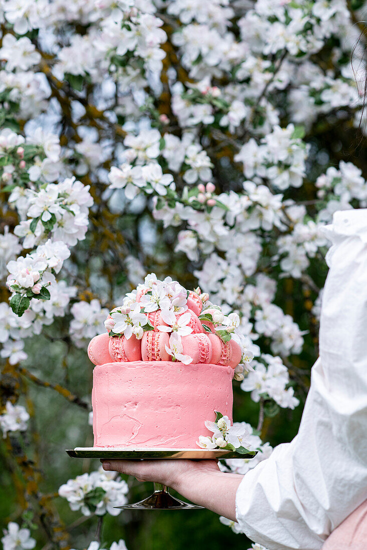 Buttercream macaron cake