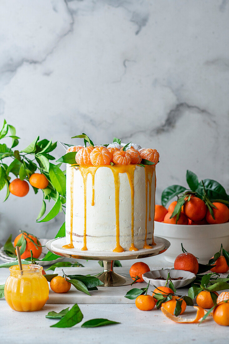 Clementinen-Torte mit Sauerrahm, Honigkuchenschichten und Quark