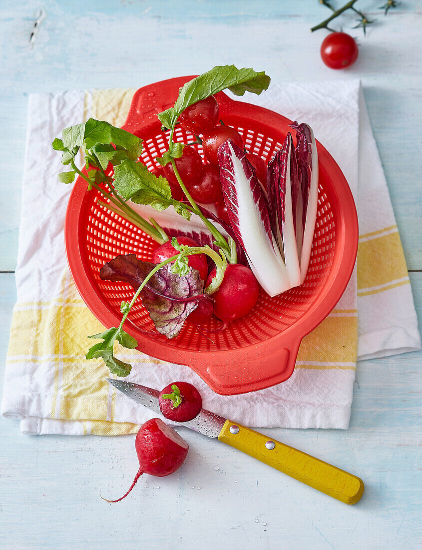 Red plastic colander with radicchio, radishes and cherry tomatoes